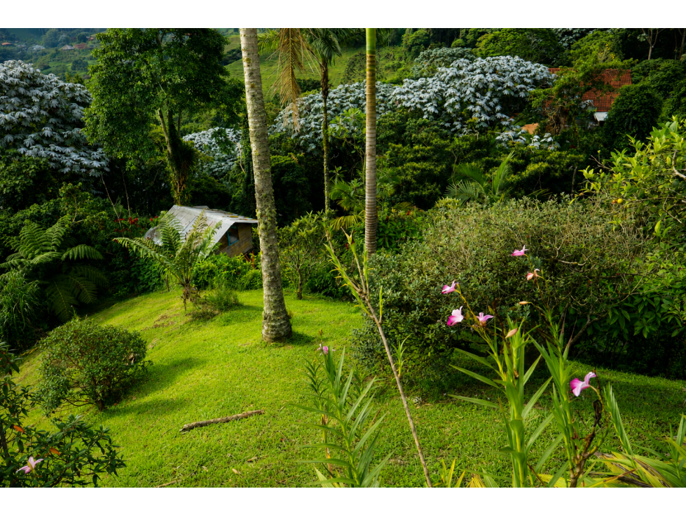 CASA CAMPESTRE CON VISTA INCREIBLE PARA EL ARRIENDO - 6