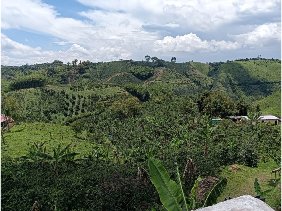 FINCA — foto 2