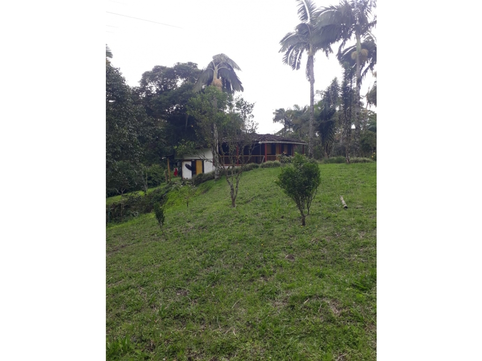 HOSPEDAJE RURAL — foto 4