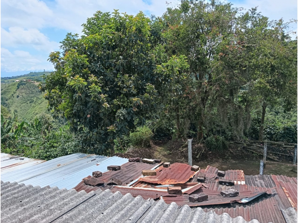 FINCA — foto 4