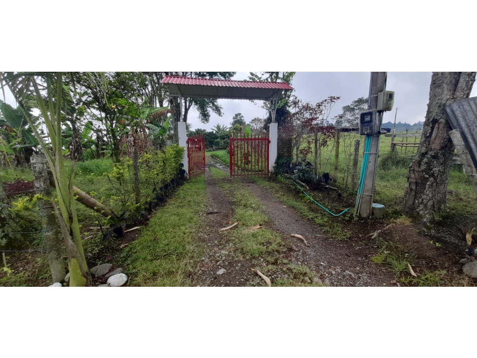 FINCA - 5