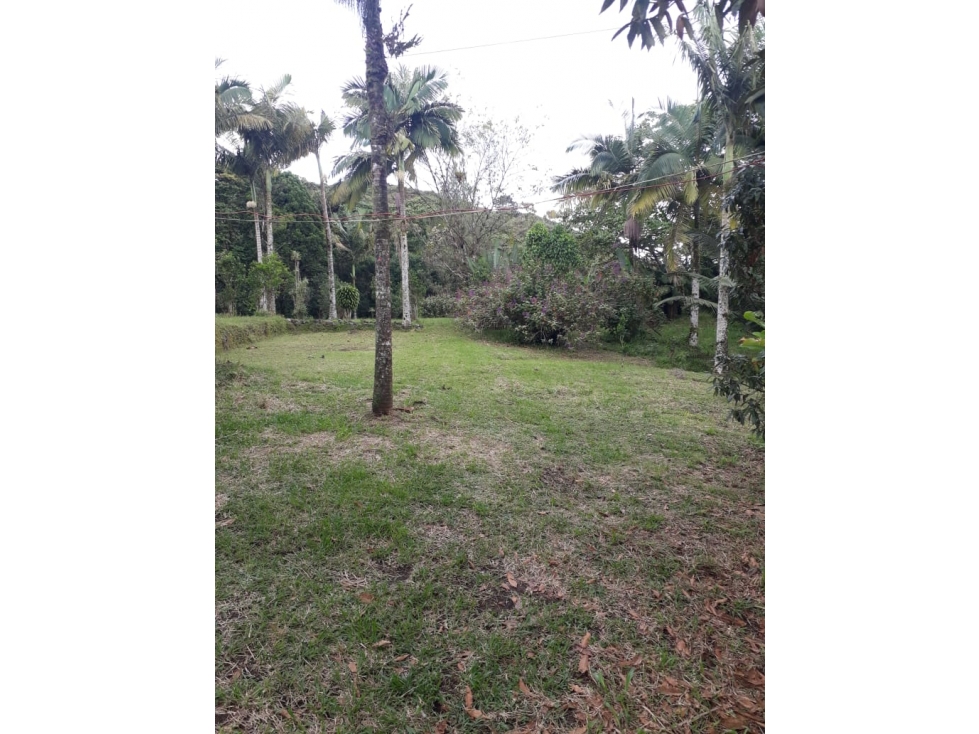 HOSPEDAJE RURAL — foto 5