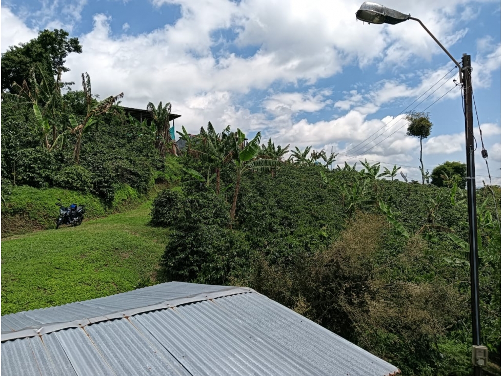 FINCA — foto 5