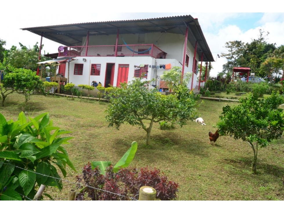 FINCA - 2