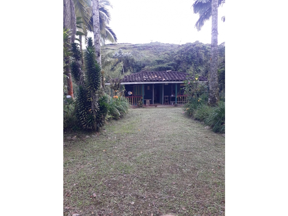 HOSPEDAJE RURAL — foto 6
