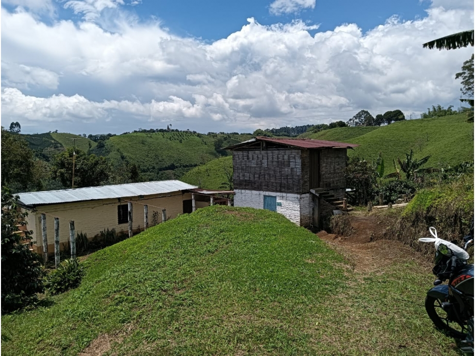 FINCA — foto 6