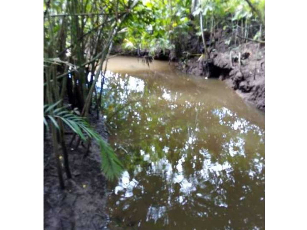 FINCA EN CHEPO CABECERA 78 HECTAREAS POR PUERTO COQUIRA TITULADA - 3