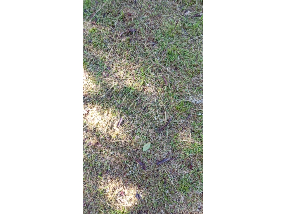 VENDO LOTE DE TERRENO-CAS 5000 MTS AV.PRINCIPAL PEDREGAL NEGOCIABLE — foto 3