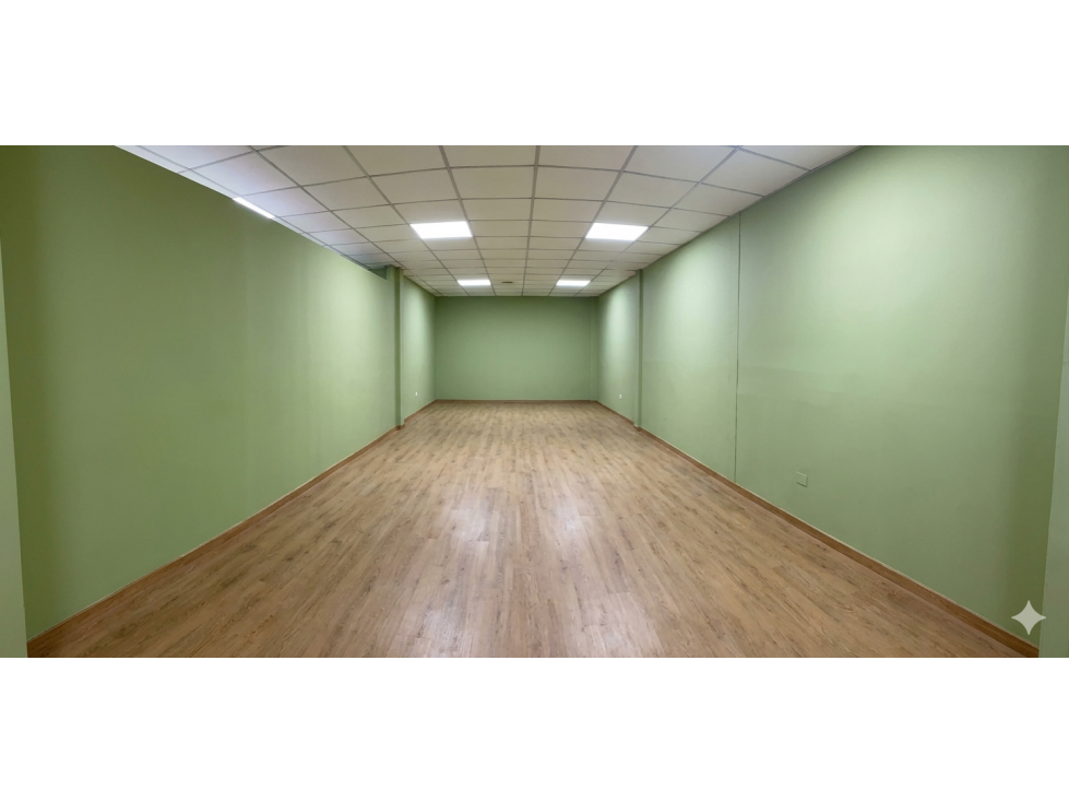 LOCAL COMERCIAL EN EL INGENIO 100M2 PLANTA BAJA AVENIDA PRINCIPAL — foto 5