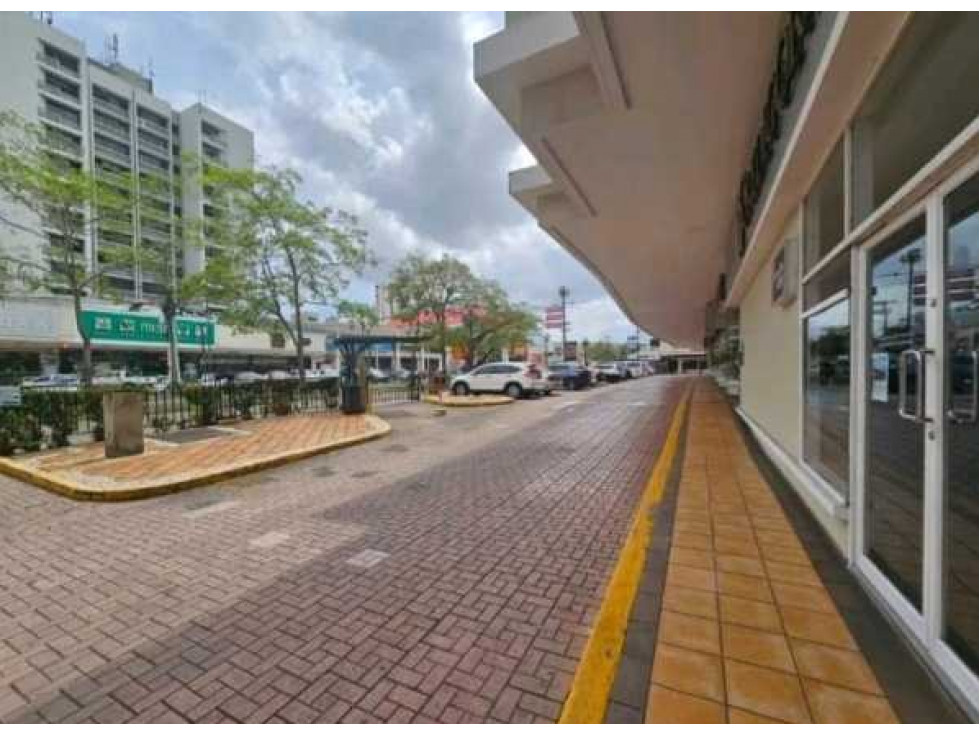 LOCAL COMERCIAL EN EL DORADO CAMINO DE CRUCES 247M2 PLANTA BAJA — foto 2