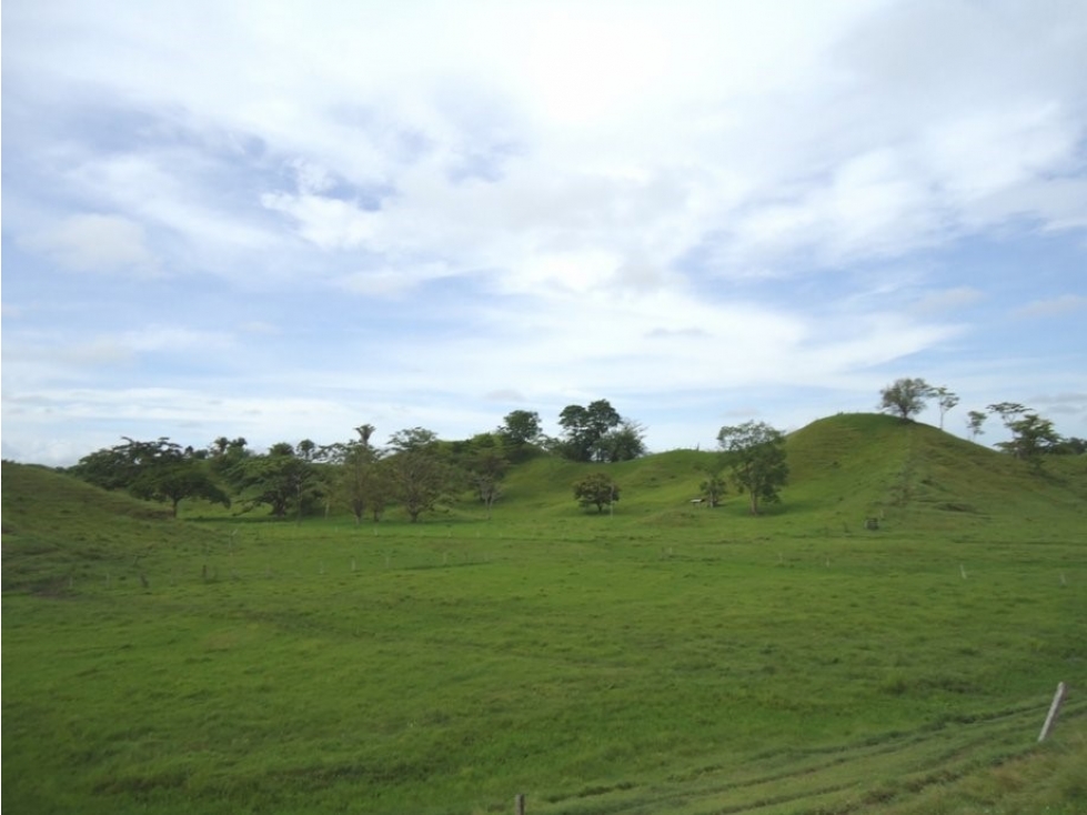 SE VENDE FINCA MUNICIPIO DE PUERTO BOYACA . - 3