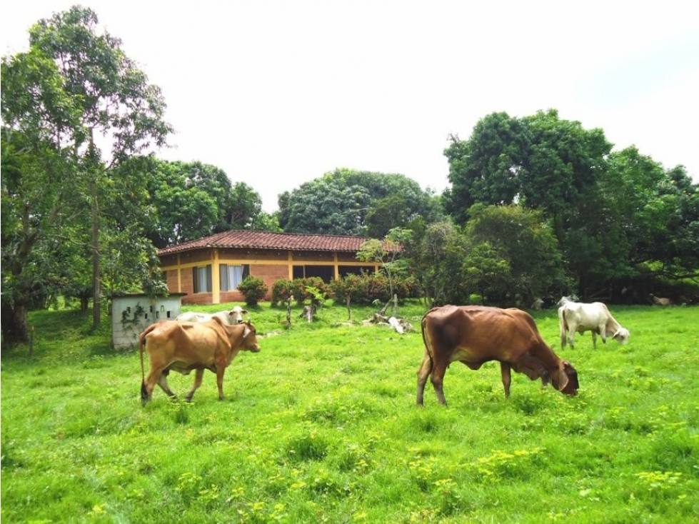 SE VENDE FINCA MUNICIPIO DE PUERTO BOYACA . - 1