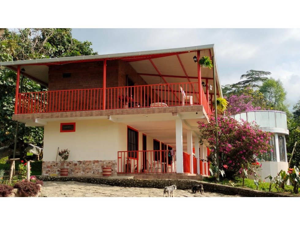 VENDO FINCA DE 29400 M2 MUNICIPIO DE MESITAS DEL COLEGIO - 2