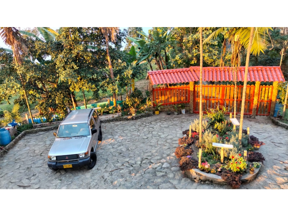 VENDO FINCA DE 29400 M2 MUNICIPIO DE MESITAS DEL COLEGIO - 4