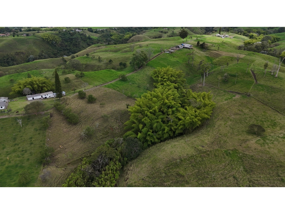 Se vende finca de 37 cuadras