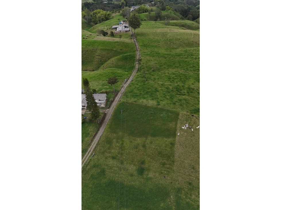Se vende finca de 37 cuadras — foto 3