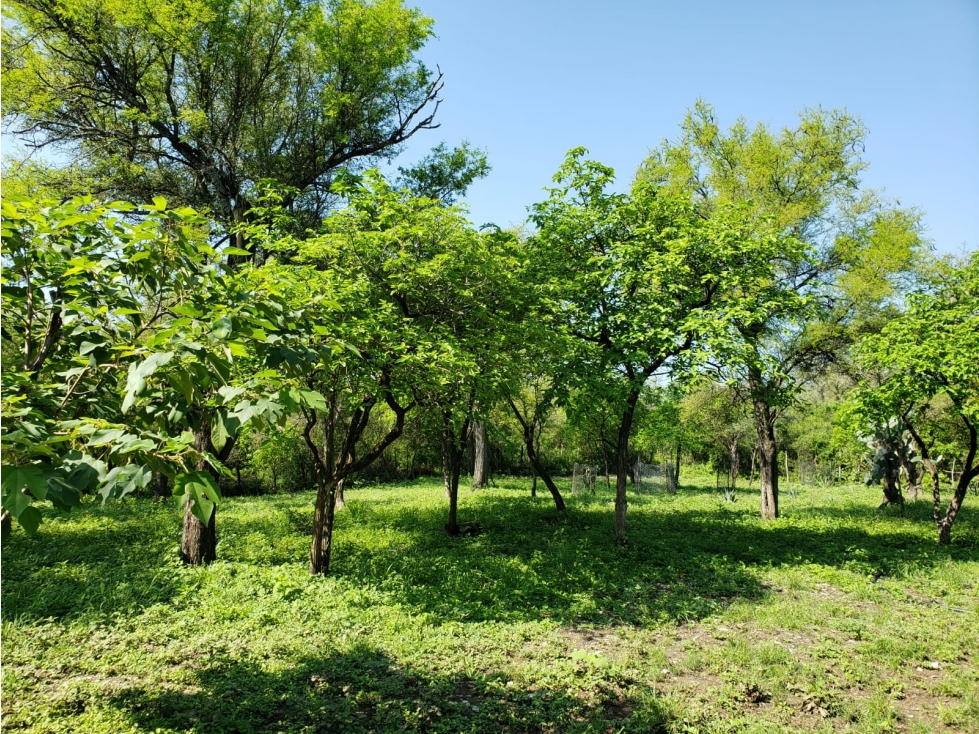 Venta de Finca Campestre en Carmen NL - 4