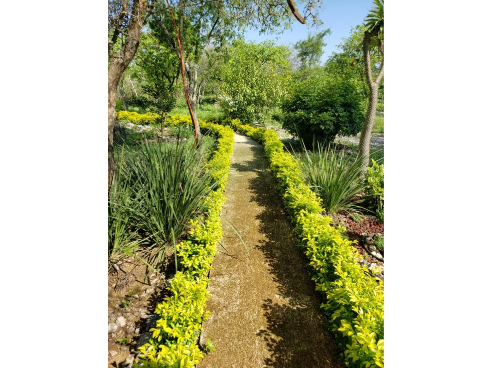 Venta de Finca Campestre en Carmen NL - 6