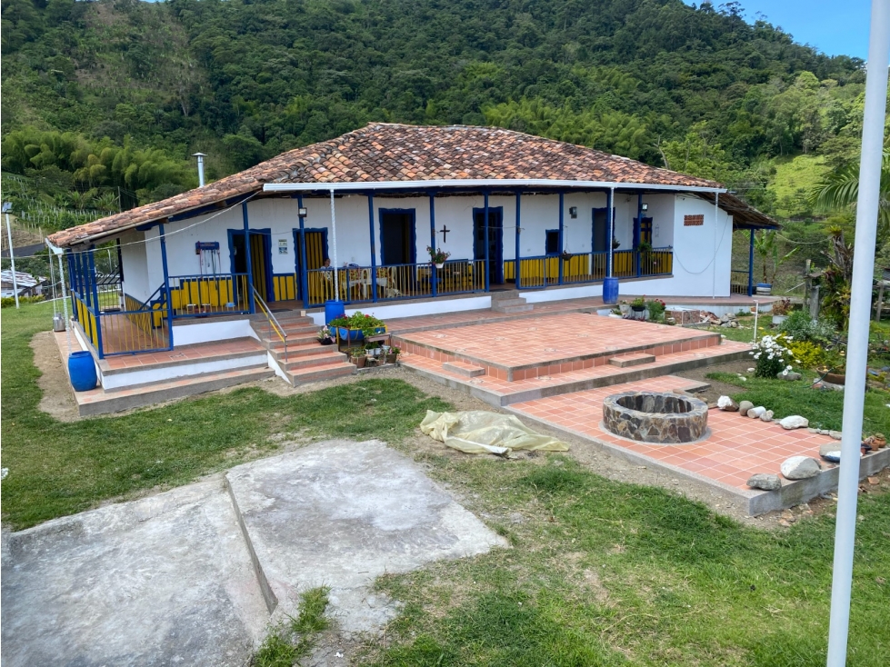 Venta de finca vereda San Juan La Nubia en Salento Quindio — foto 4