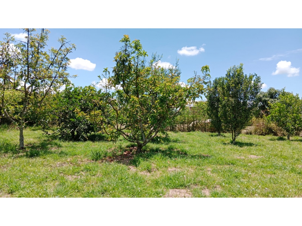 Venta de Lote en Pueblo Tapado Quindio — foto 2