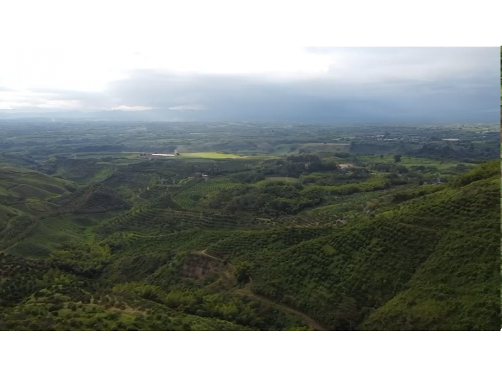 Se vende finca en el municipio de Buenavista Quindio Vereda Los Balsos - 1