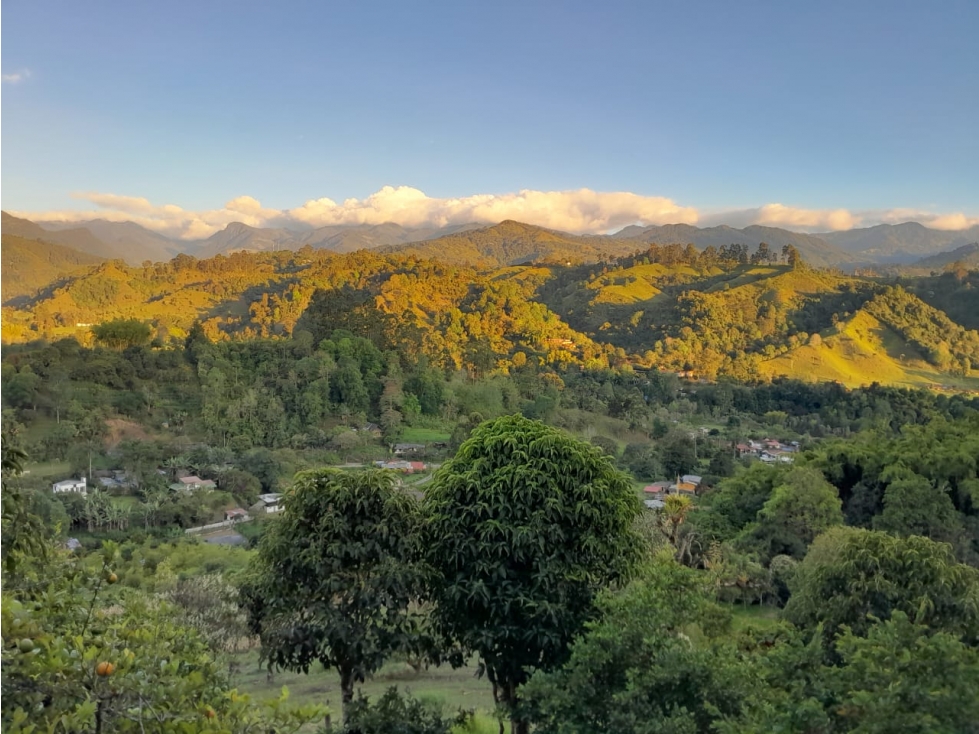 Vendo Finca sobre vía para turismo o producción Salento Quindio — foto 3