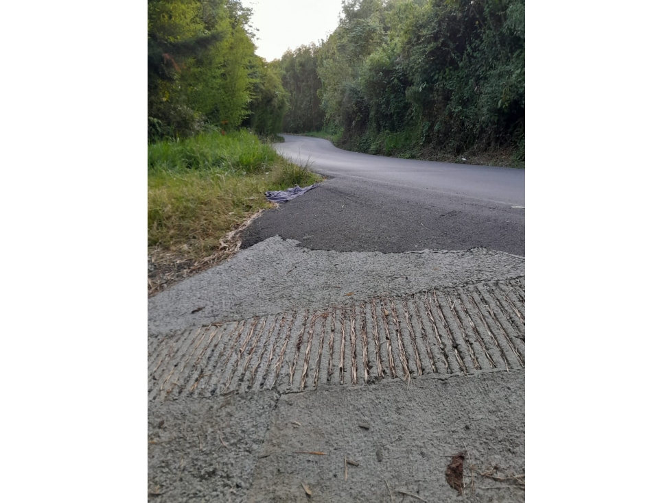 Vendo Finca sobre vía para turismo o producción Salento Quindio — foto 4