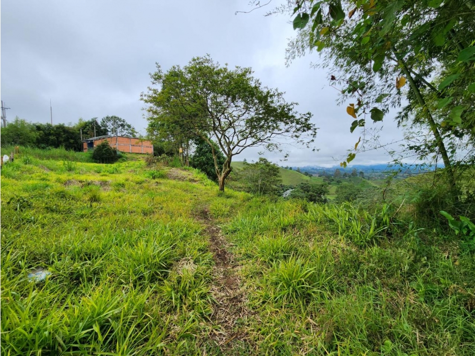 Venta de Lote en Filandia Sobre Vía Pavimentada . Quindía — foto 3