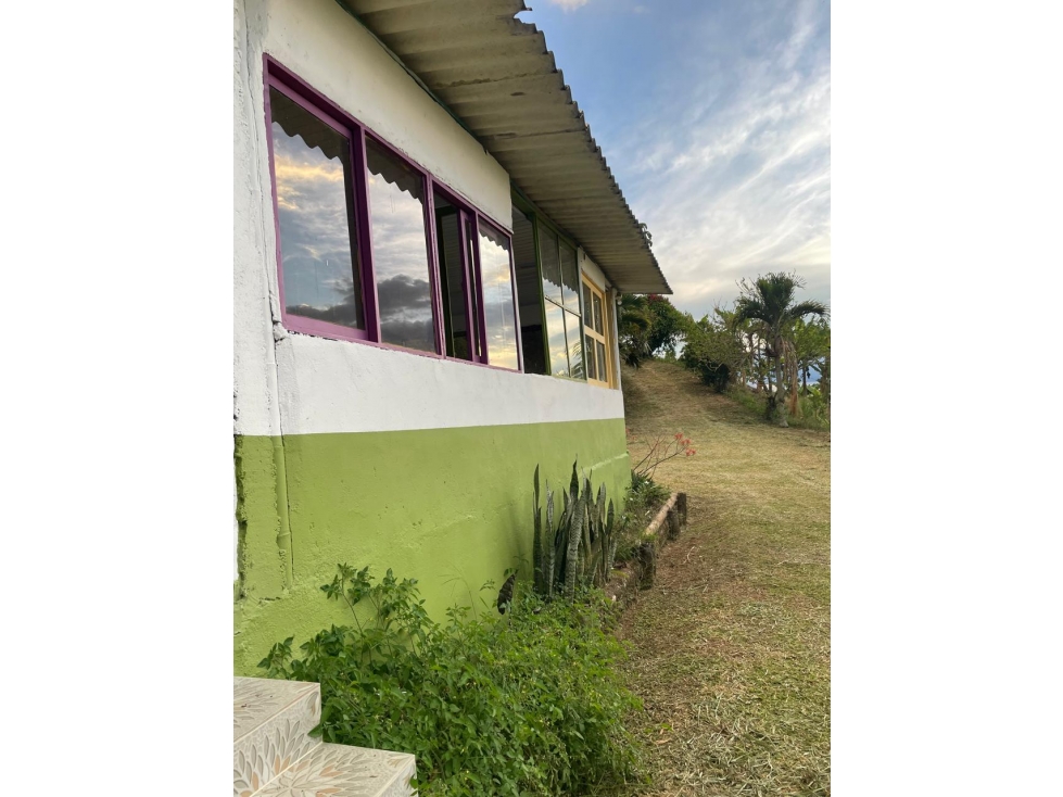 Se vende finca en el municipio de Buenavista Quindio Vereda Los Balsos - 3