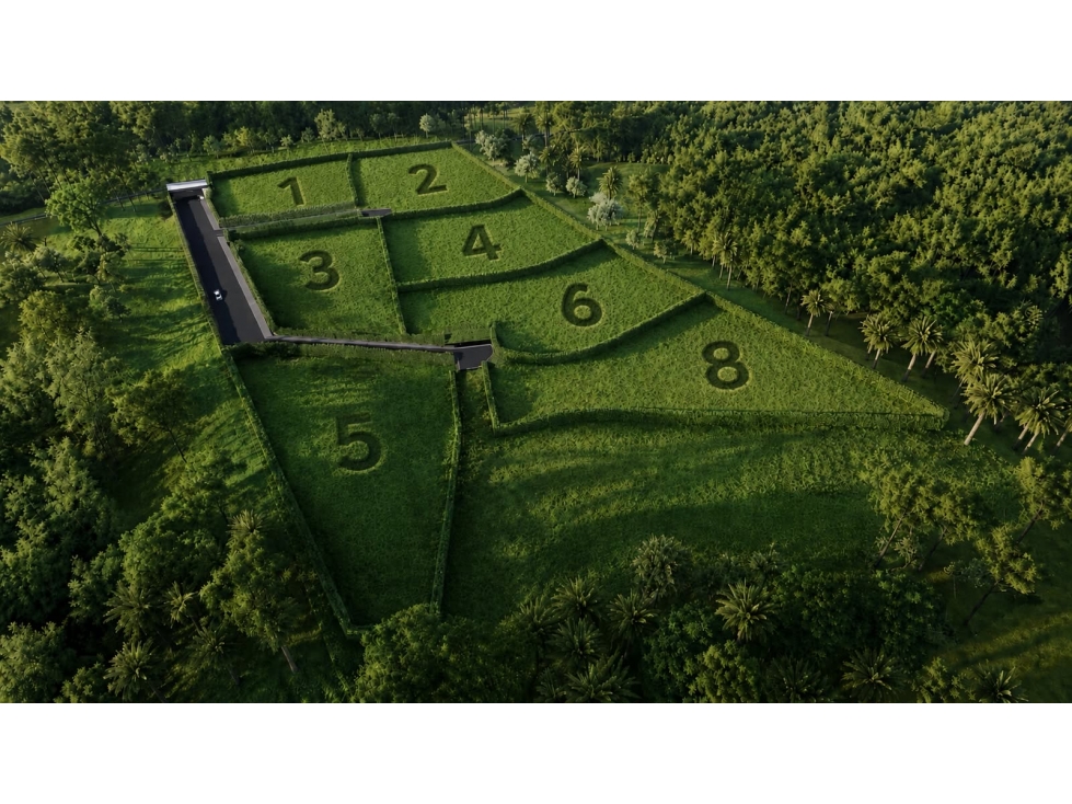 Venta de Lotes en Pueblo Tapao desde $580 millones. Quindio — foto 3