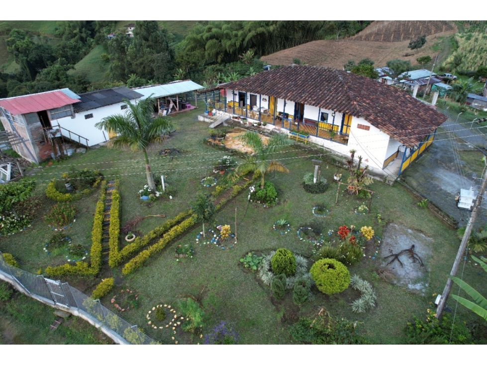 Venta de finca vereda San Juan La Nubia en Salento Quindio — foto 3