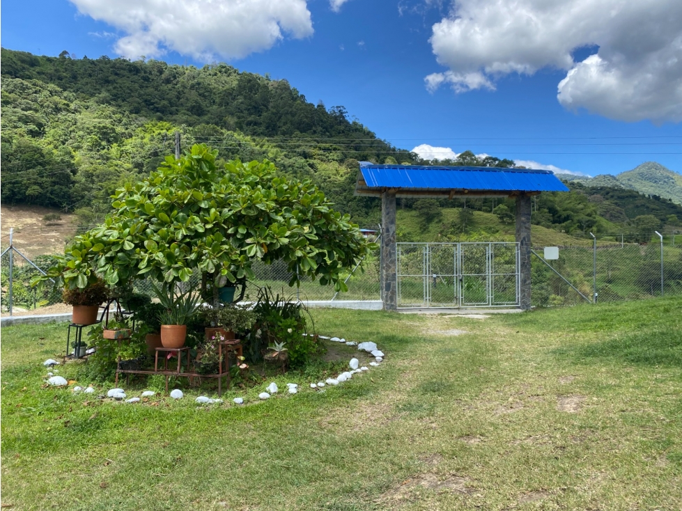 Venta de finca vereda San Juan La Nubia en Salento Quindio — foto 2