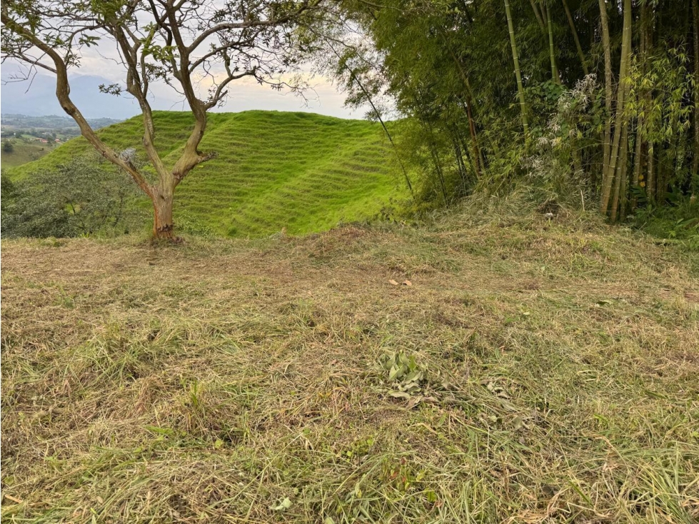 Venta de Lote en Filandia Sobre Vía Pavimentada . Quindía — foto 6