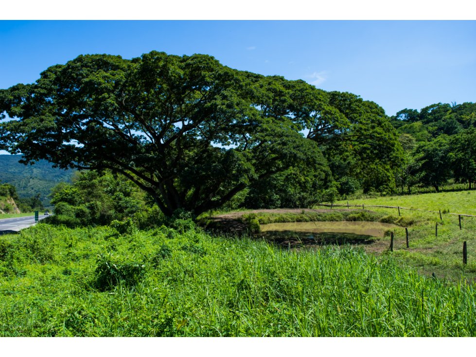 Vendo Finca en La Dorada Caldas - 2