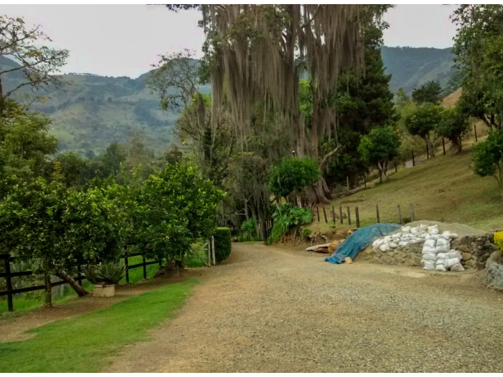 finca de 6 hectáreas en Copacabana, para proyectos — foto 4