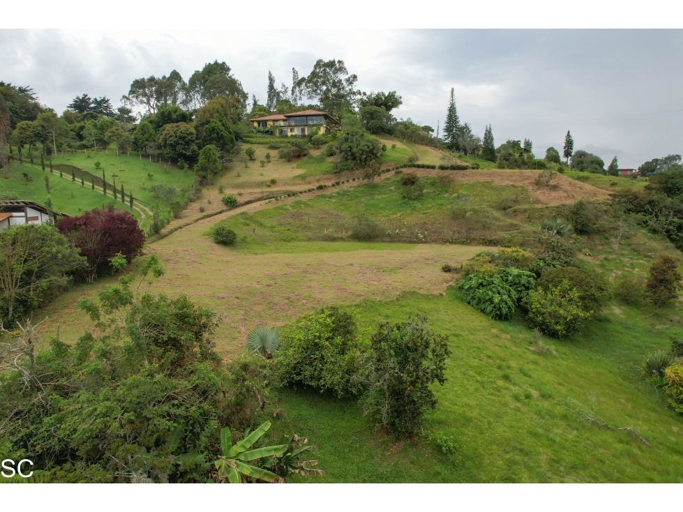 FINCA EN EL CARMEN DE VIBORAL, 11.500M2, — foto 5