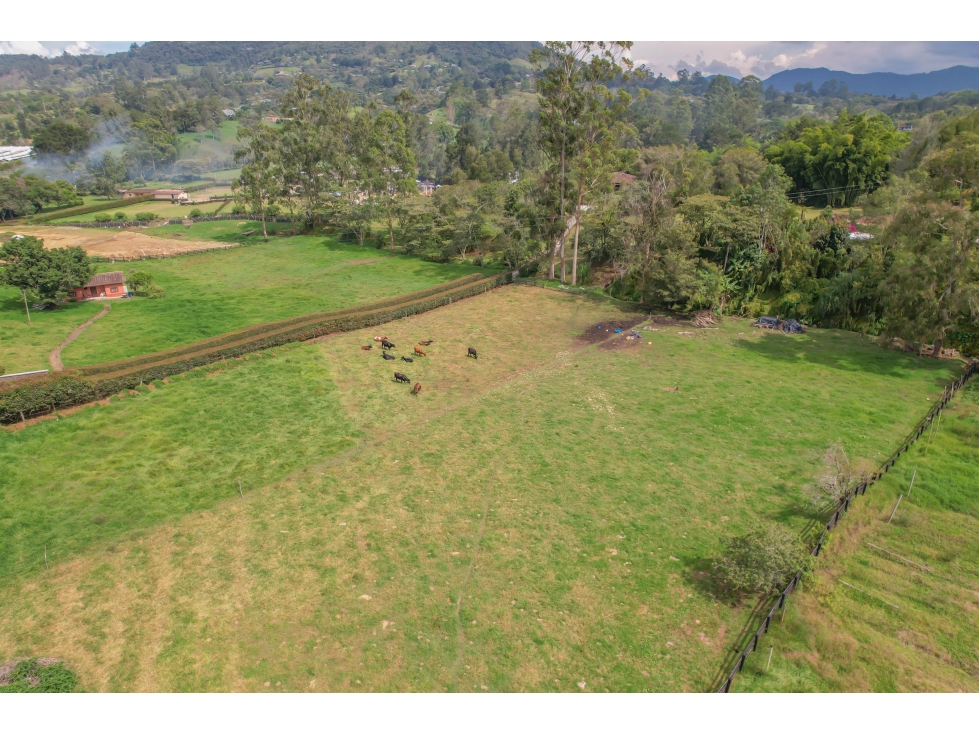 finca en llano grande de 33465 metros disponible para proyectos — foto 3