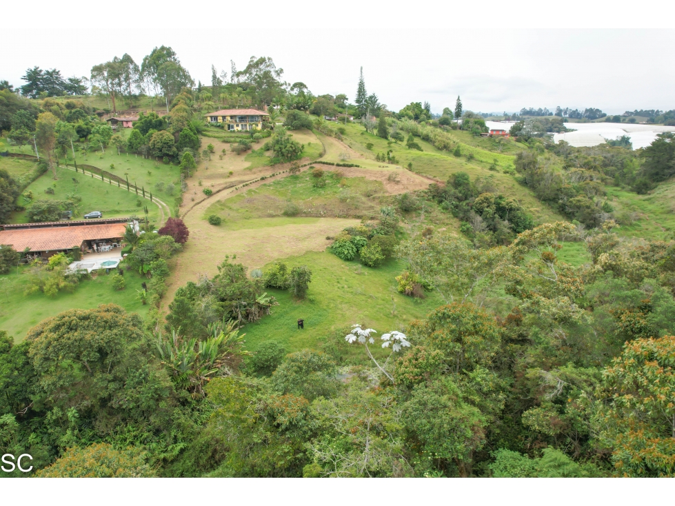 FINCA EN EL CARMEN DE VIBORAL, 11.500M2, — foto 6
