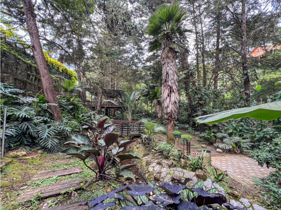 CASA CON PISCINA, BOSQUE EN LAS PALMAS (10.500MILLONES) — foto 5