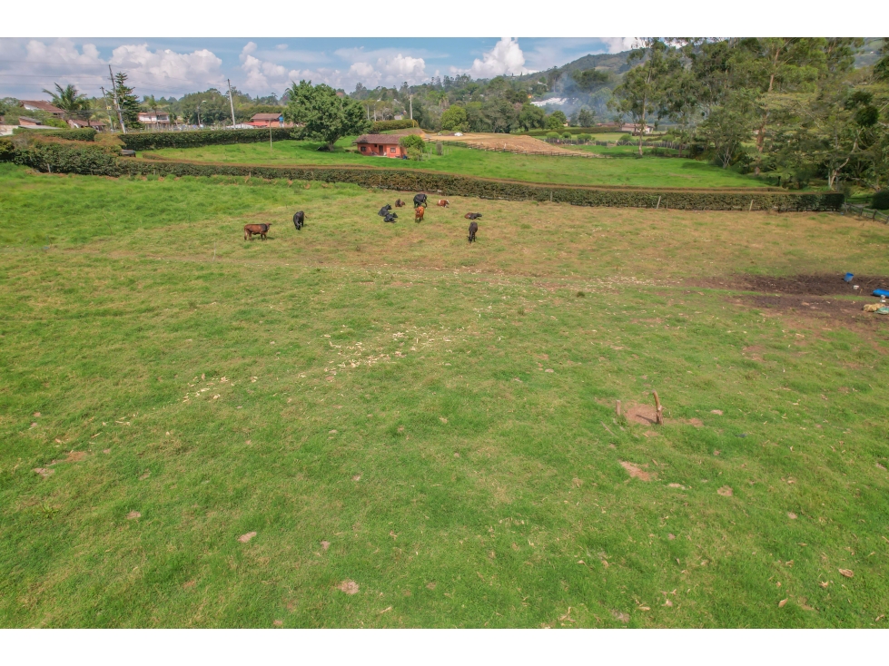 finca en llano grande de 33465 metros disponible para proyectos — foto 4