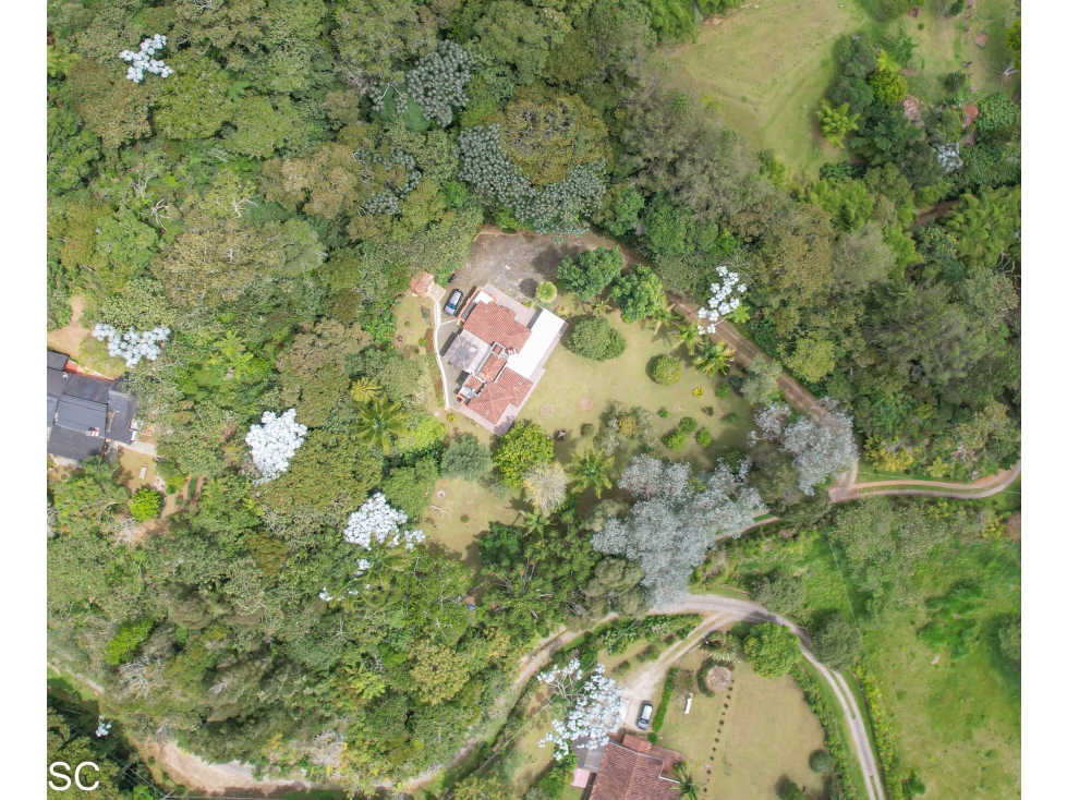 CASA CAMESTRE EN EL RETIRO VIA DON DIEGO, RODEADA DE BOSQUE — foto 3