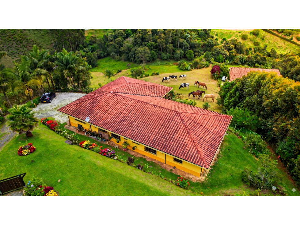 FINCA EN EL CARMEN DE VIBORAL, 11.500M2,
