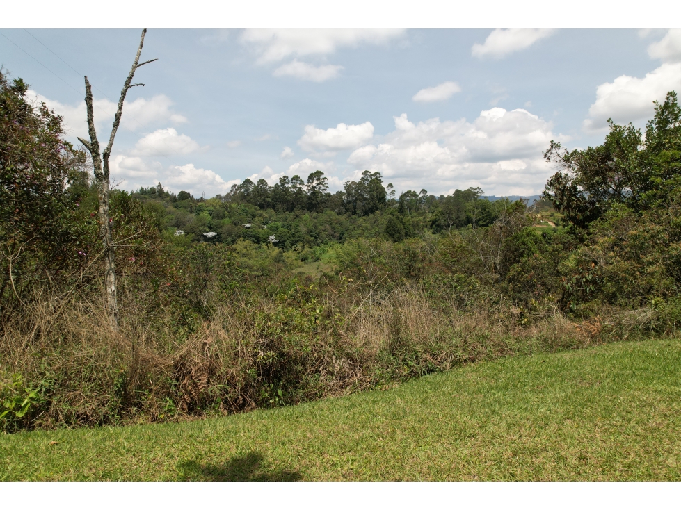 Terreno 10 has, para proyectos en Rionegro 17.800.000.000 — foto 5