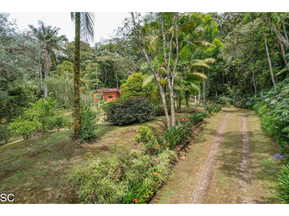 CASA CAMESTRE EN EL RETIRO VIA DON DIEGO, RODEADA DE BOSQUE — foto 4