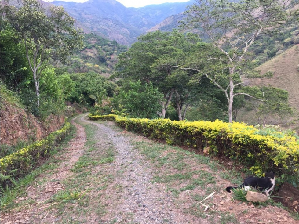 VENCAMBIO FINCA CON DOS CASAS, SOPETRÁN — foto 6