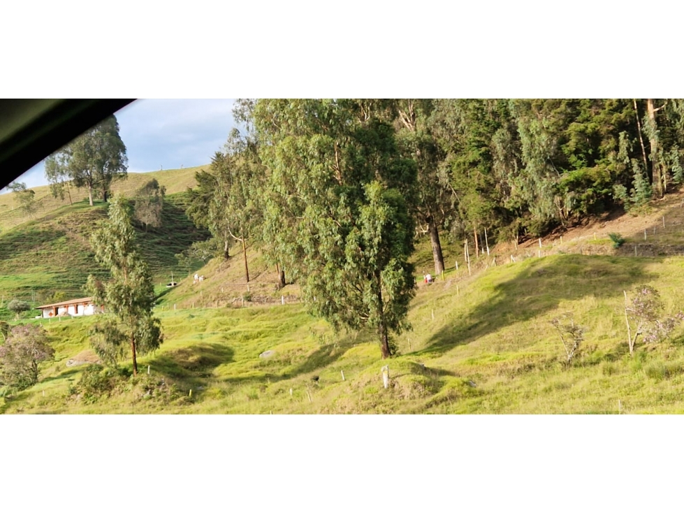 VENCAMBIO FINCA LA APRETEL, SAN PEDRO DE LOS MILAGROS, ANTIOQUIA — foto 4