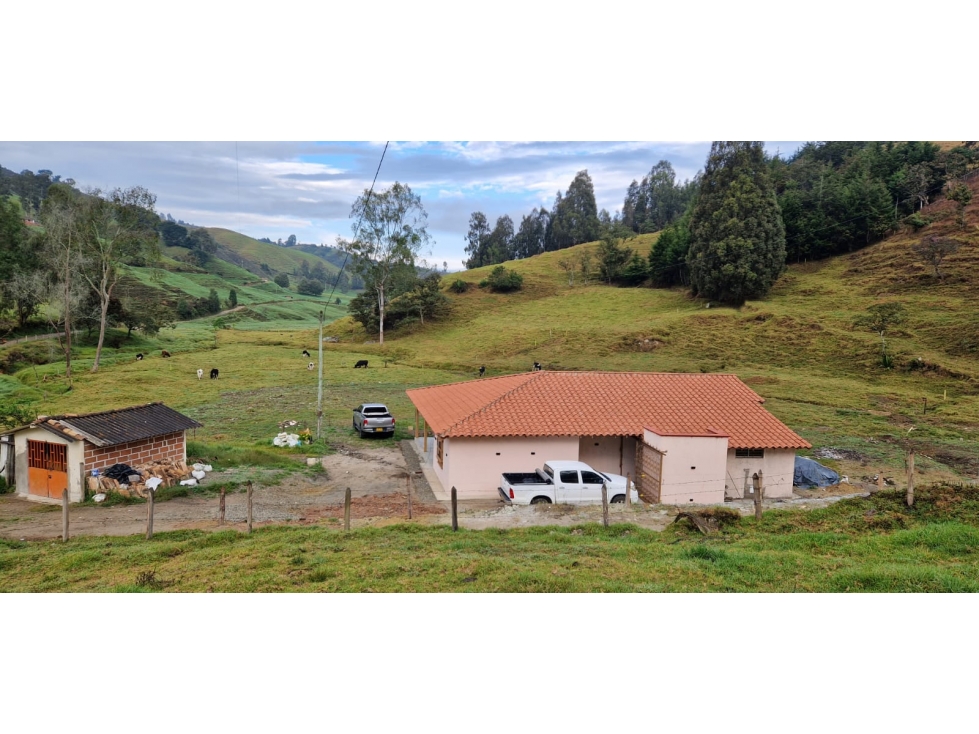 VENCAMBIO FINCA LA APRETEL, SAN PEDRO DE LOS MILAGROS, ANTIOQUIA — foto 5