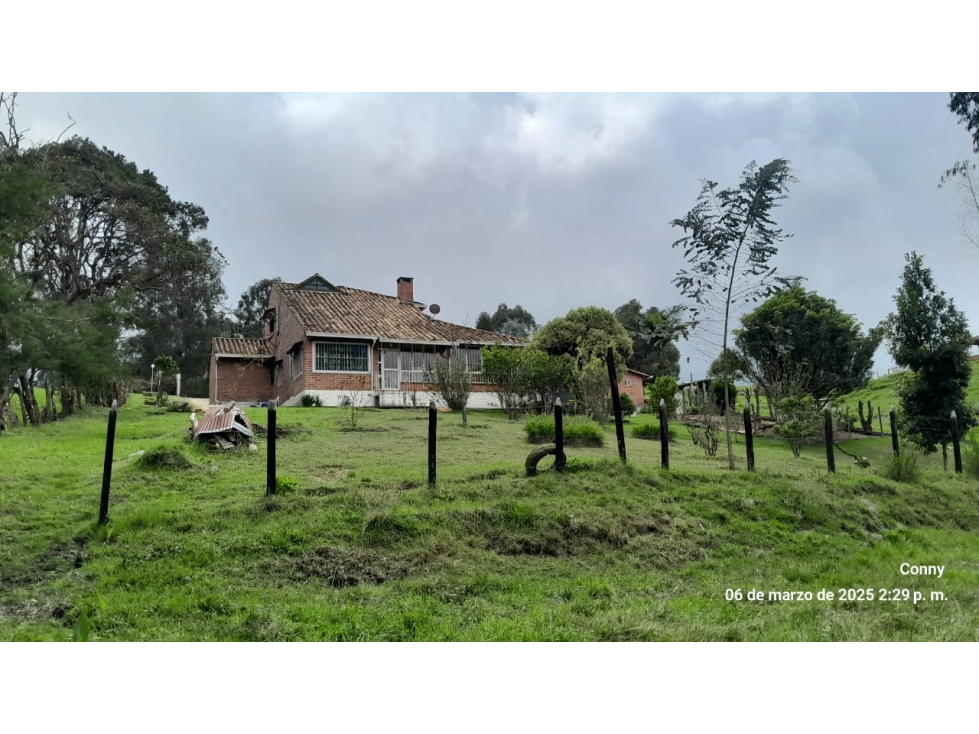 VENTA FINCA ALTO DEL INGENIO, LA PRETEL, SAN PEDRO DE LOS MILAGROS — foto 4