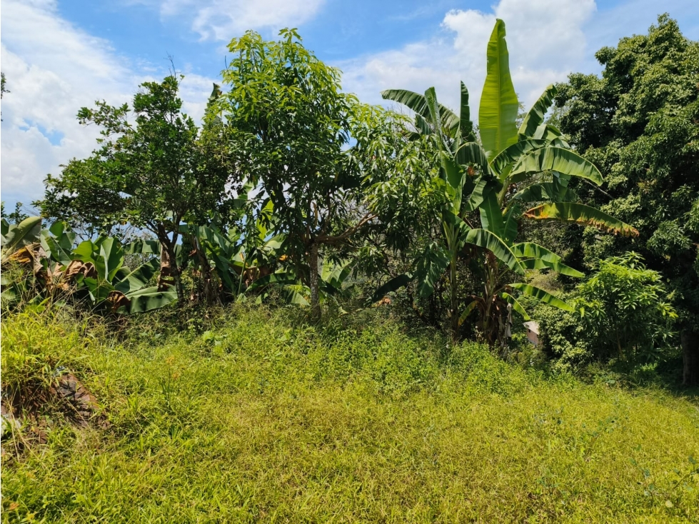 VENTA FINCA CON DOS CASAS, SOPETRAN — foto 5