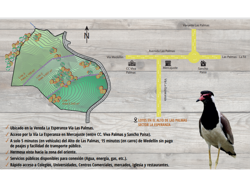VENTA LOTE ENVIGADO-ALTO DE PALMAS-SECTOR LA ESPERANZA- 3.000 M2 — foto 3